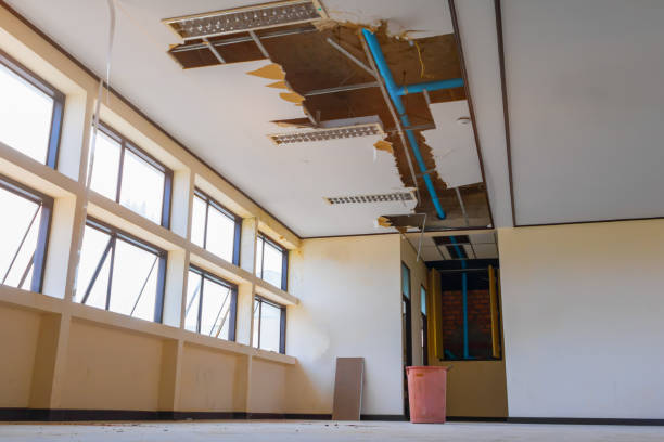 Best Water damage restoration services  in Rio Dell, CA