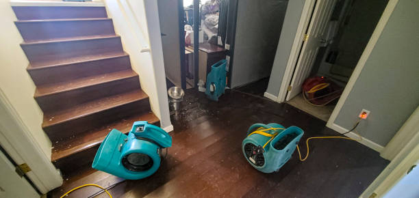 Best Professional water damage repair  in Rio Dell, CA