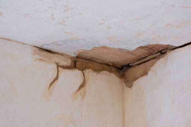 Best Water damage contractors near me  in Rio Dell, CA