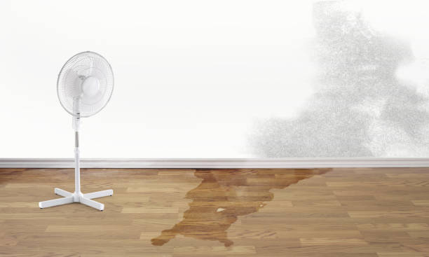  Rio Dell, CA Water damage restoration Pros