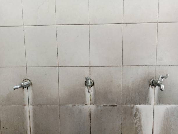 Best Flood damage cleanup  in Rio Dell, CA