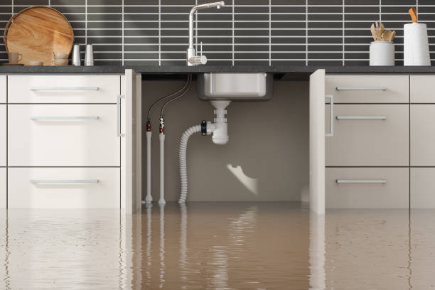 Best Commercial water damage restoration  in Rio Dell, CA