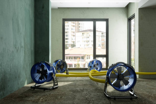 Best Flood restoration services  in Rio Dell, CA